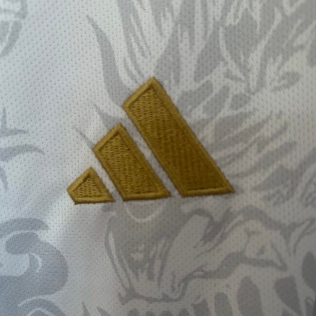 Real Madrid Special Edition Jersey 25/26