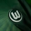 Wolfsburg Home Jersey 2025/26 - Image 5