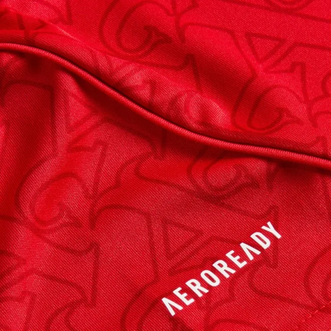 Arsenal Home Jersey 2025/26
