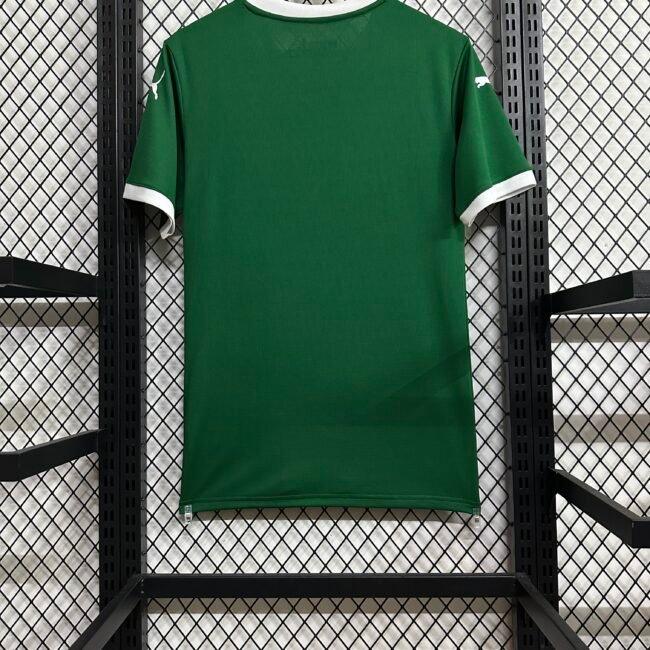 SE Palmeiras Home Jersey 2025/26