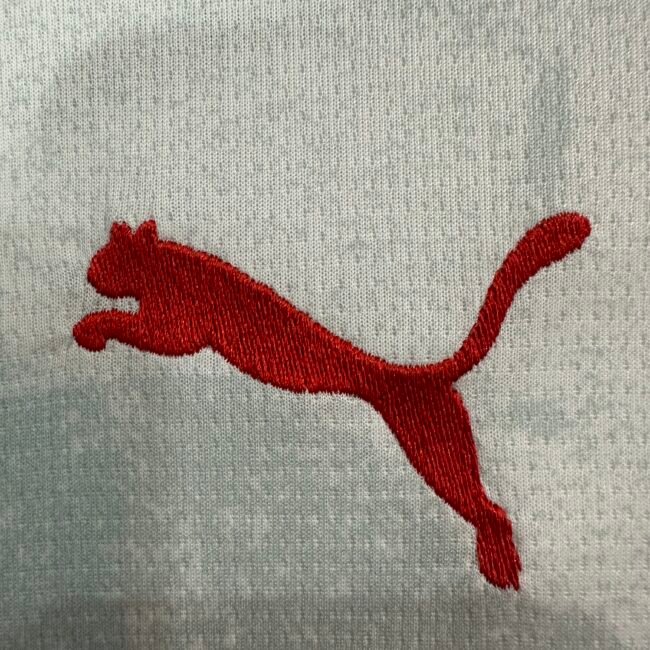 FC Red Bull Salzburg Home Jersey 2025/26
