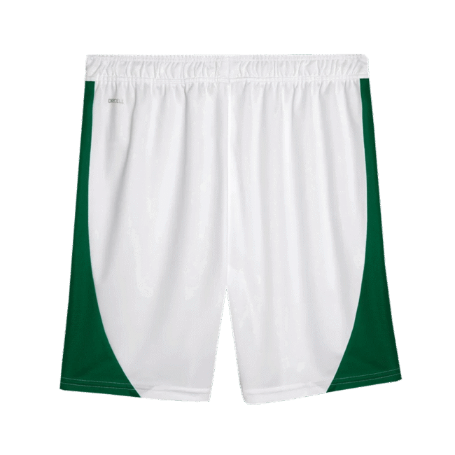 SE Palmeiras Home Shorts 2024/25