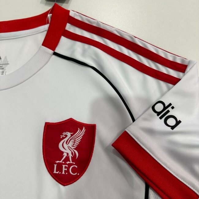 Liverpool Away jersey 2025/26