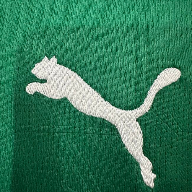 SE Palmeiras Home Jersey 2025/26