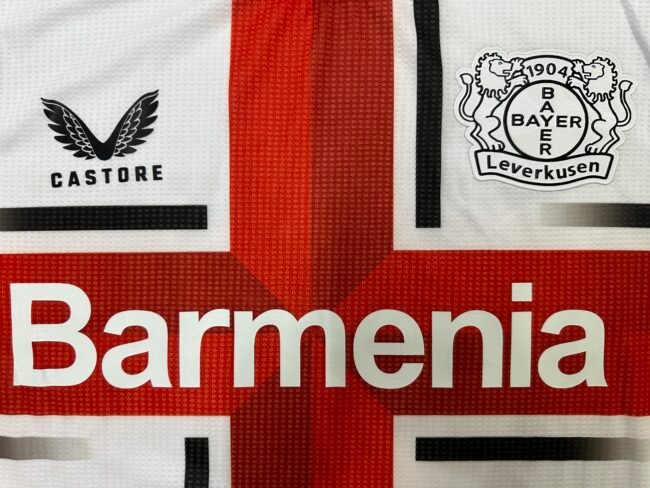 Bayer Leverkusen Player Version 24/25 Special Edition Kit - Image 3
