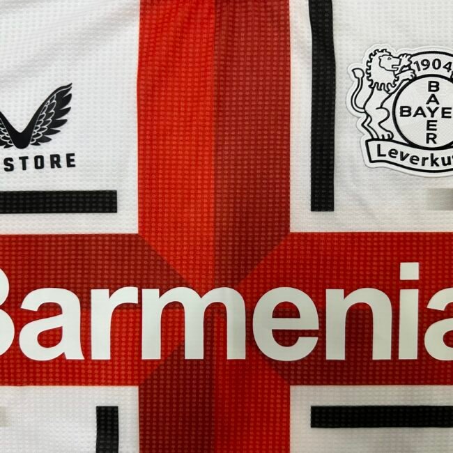Bayer Leverkusen Player Version 24/25 Special Edition Kit